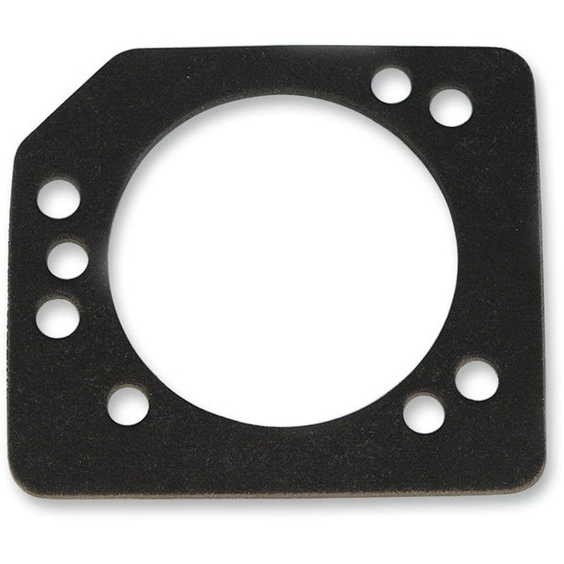 James Gasket Dichtung Vergaser-Rückplatte