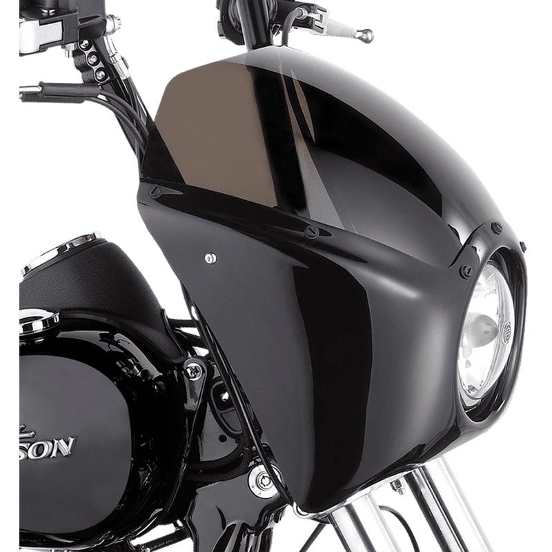 Arlen Ness Fairing für Dyna 06-17