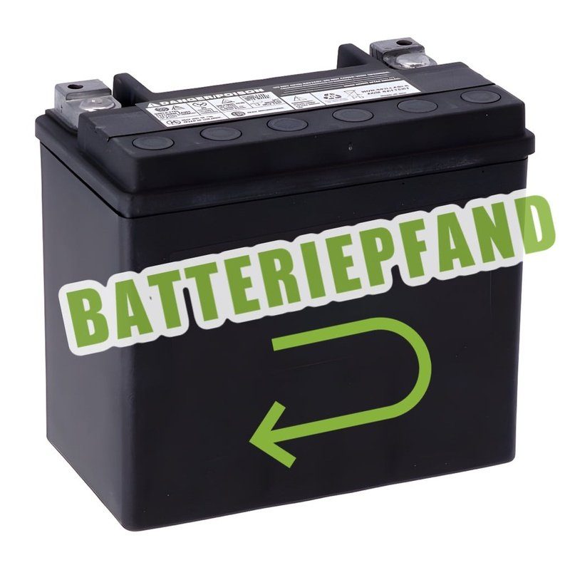 ROCKABIKE CUSTOM Batteriepfand